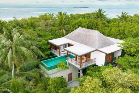 Treetop Pool Villa